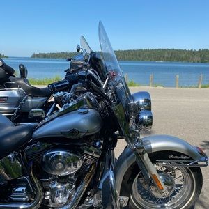 Meet your Posher, Sandy